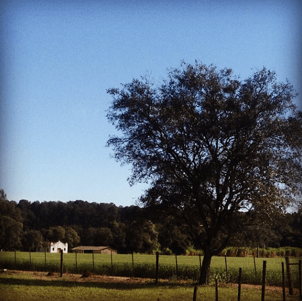 Screen Shot 2014-12-04 at 4.40.46 PM